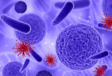 2025年美国临床肿瘤学会年会（ASCO）