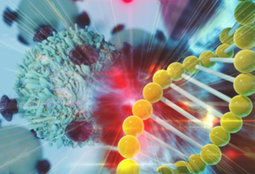 2019年欧洲肿瘤内科学会年会（ESMO）