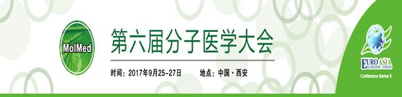 2017第六届国际分子医学