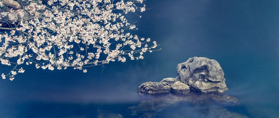 化学原料药制备工艺开发关键点控制与质量研究实践专题