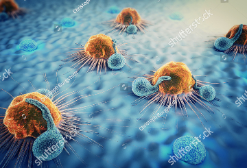 2022年欧洲肿瘤内科学会年会（ESMO）