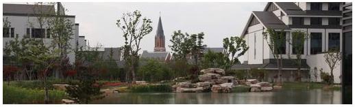 冷泉港亚洲2013会议：神经回路的发育、功能和疾病