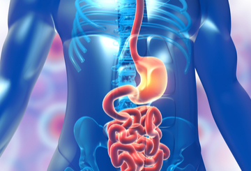 2024年美国临床肿瘤学会胃肠肿瘤研讨会(ASCO-GI)