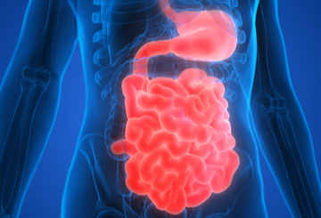 2024年欧洲肿瘤医学学会非洲峰会（ESMO Summit Africa）