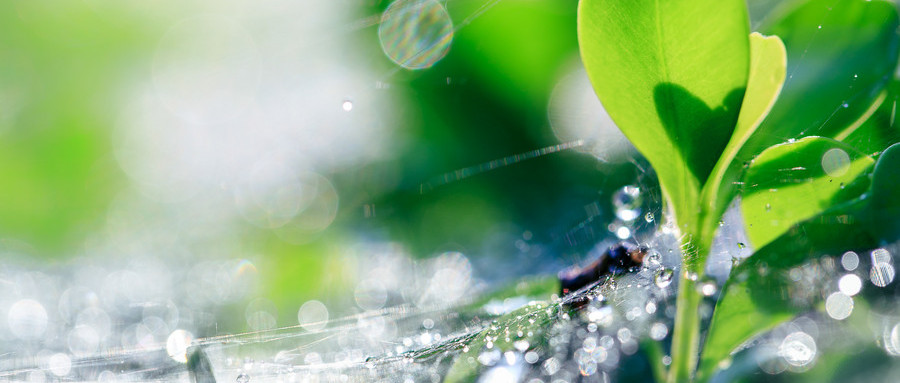 2018.12.13-15李永康专题讲座-- 药物研发质量管理运行中的难点实施及临床试验用药物gmp实施关键点 上海站