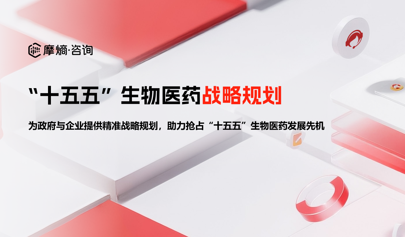 十五五战略规划